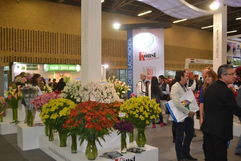 PROFLORA Spotlight: B2B Essentials - 2