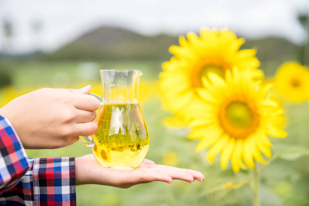 A Comprehensive Guide to Sourcing High-Quality Sunflower Oil: Top 10 Sunflower Oil Suppliers in France in 2025