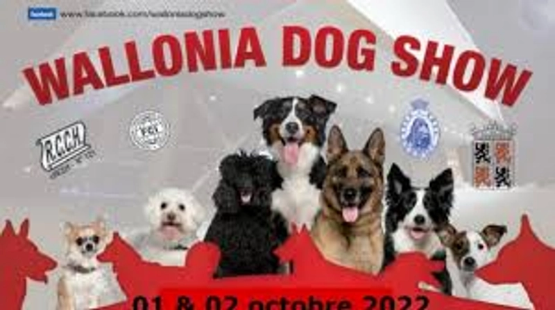 Why Attend WALLONIA DOG SHOW? B2B Intro