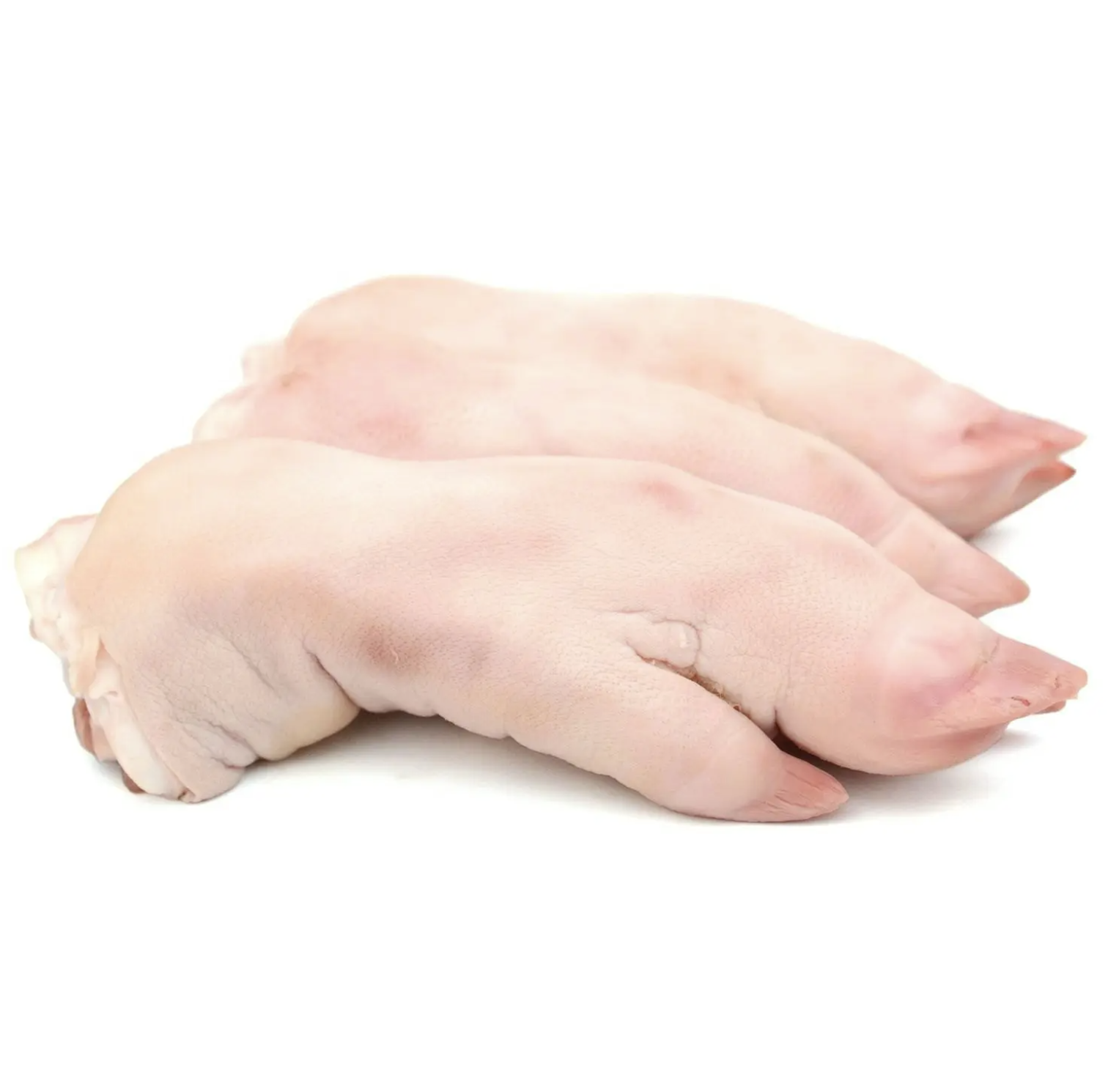 Frozen Pork Hind Feet (Trotters) Bulk Wholesale Supply, Premium Quality Fresh/Frozen Pork Feet