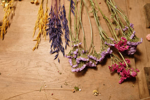 A Comprehensive Guide to Sourcing High-Quality Dried Flowers: Top 6 Dried Flowers Suppliers in Egypt in September 2025