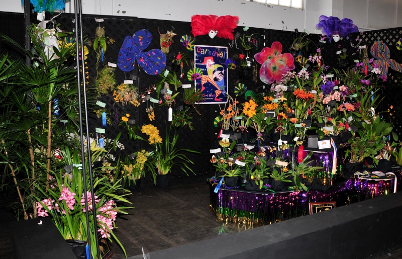 Unlock Pacific Orchid Exposition: Must-Know B2B Event - 2