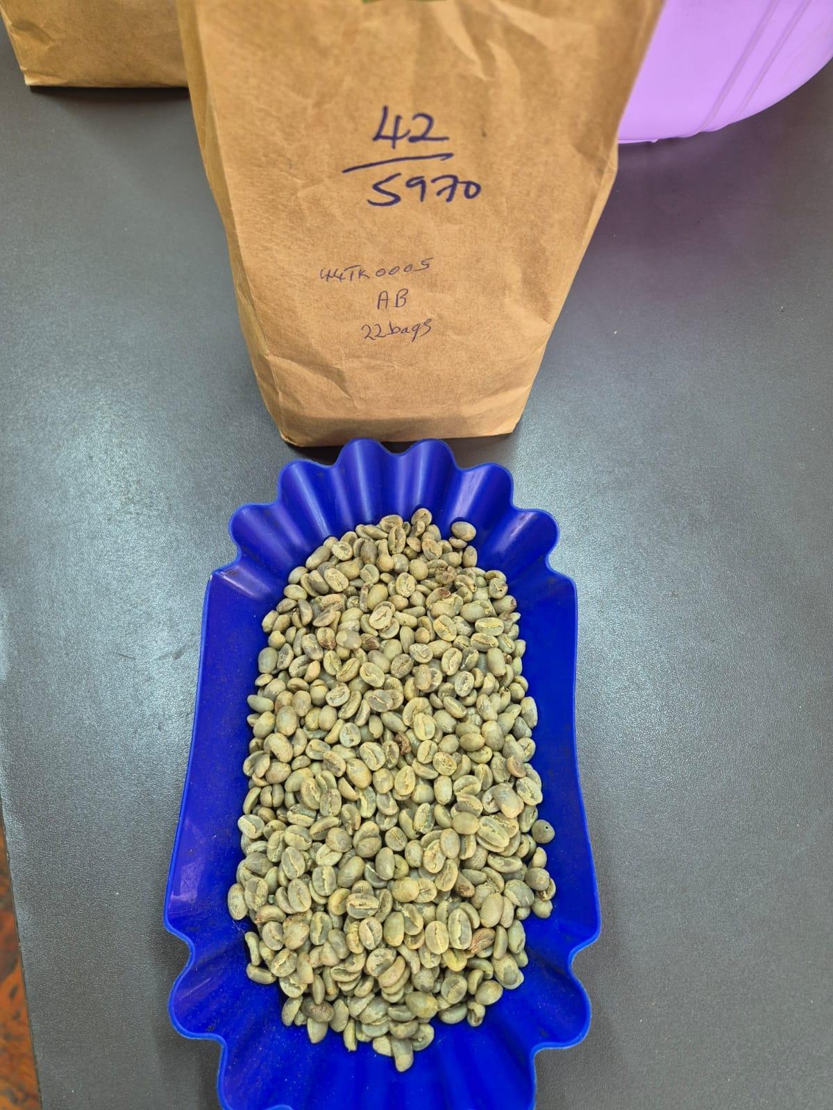 Discover the Top 7 Arabica Coffee suppliers in Kenya - 7