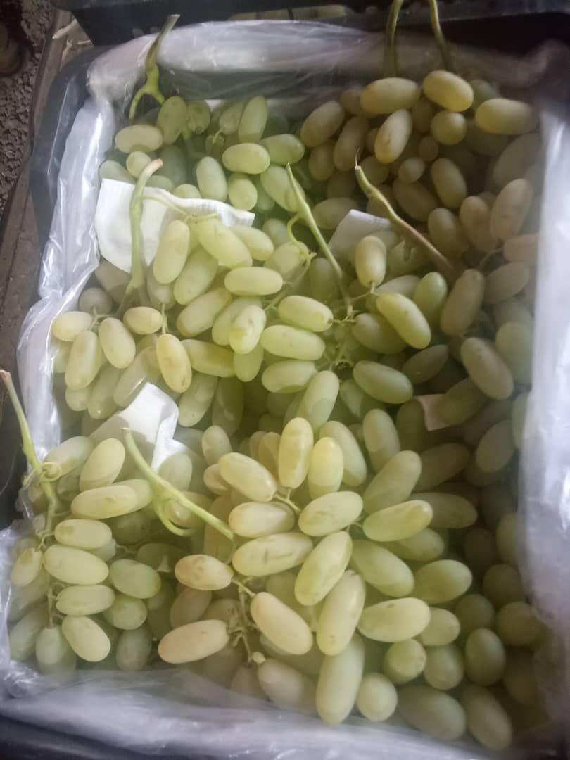 Dried Fruits Export