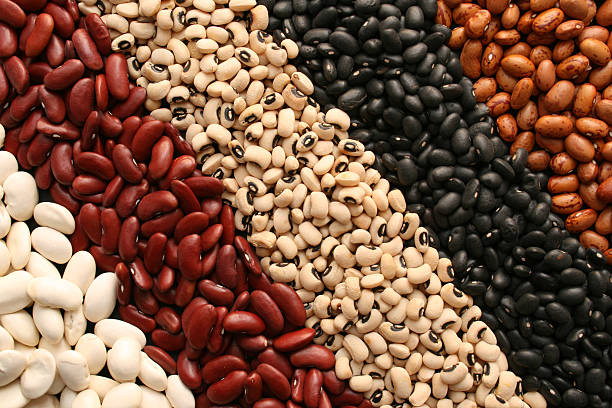 Top 5 Beans Suppliers in United Kingdom in September 2025: Market Insights & Strategic Guide