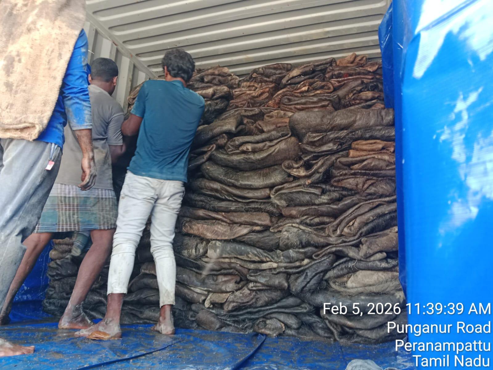 Dried Cow Hides