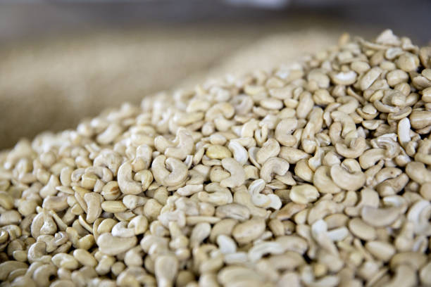 Top 3 Cashew Nut Suppliers in Thailand in Week 12 of 2025 – A Data-Driven Market Outlook