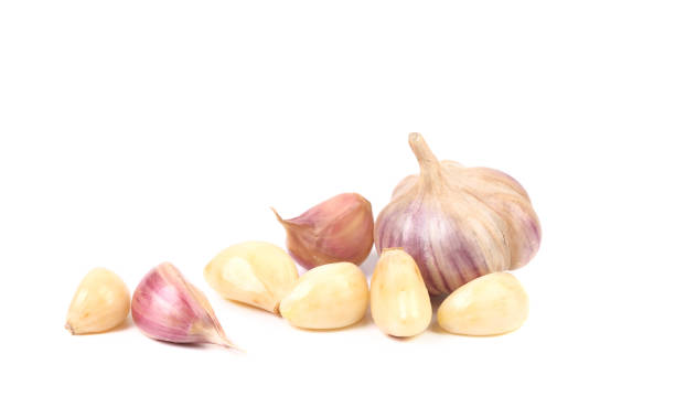 Top 8 Garlic Suppliers in Netherlands in Year 2025 – A Data-Driven Export Market Overview