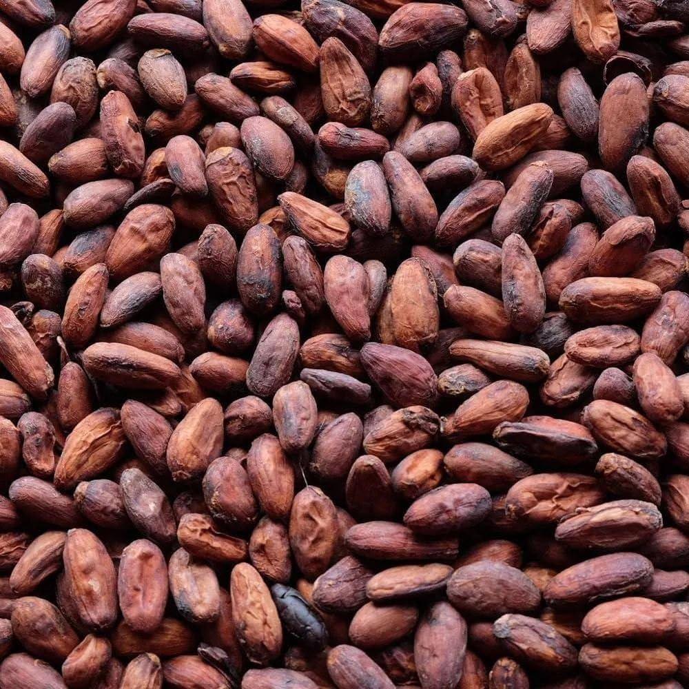 cocoa products, palm nuts products, Raw cashew nuts