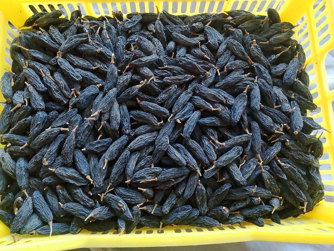 Red Raisins
