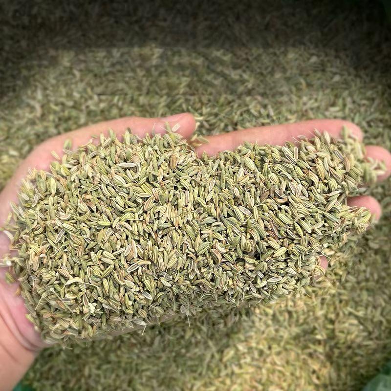 Wholesale Good Price High Quality Single Spices Seasoning Fennel Seed and Cumin Seeds