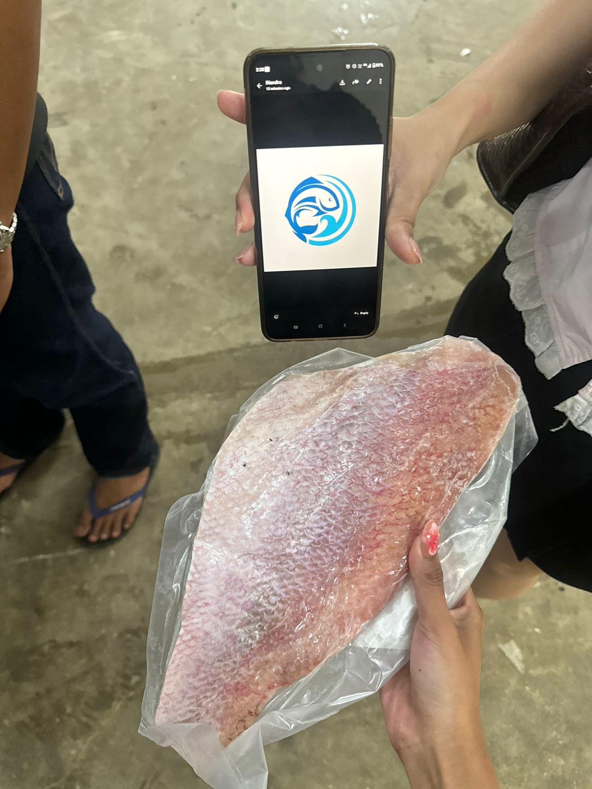 FROZEN FILLETS RED SNAPPER - HIGH QUALITY Origin Worldwide