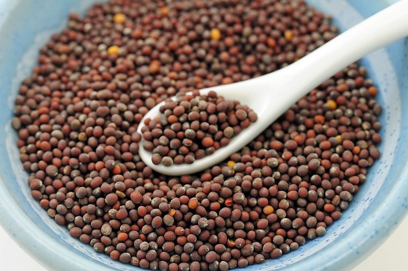 Indian Mustard Organic Spices & Herbs Dried Spices U2U312-UAthvikaSpice High Quality Pure Natural Fresh Black Mustard Seeds