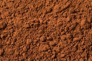 Organic Cocoa in Bulk