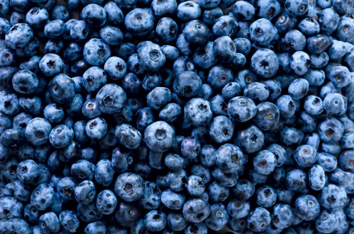Premium Fresh Blueberries from South Africa for Exports! Class 1 export quality professional packing