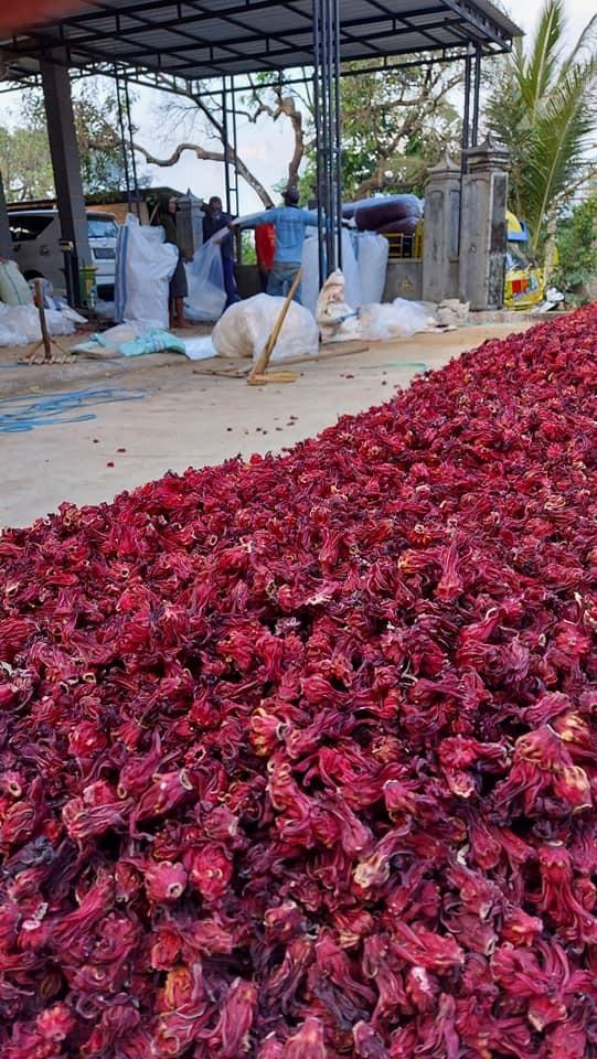 Dried Hibiscus Flower 3
