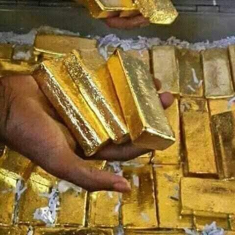 Gold Bars on Display