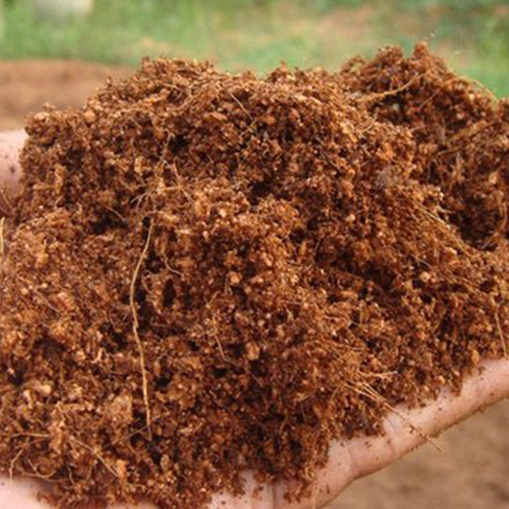 Coco peat block 