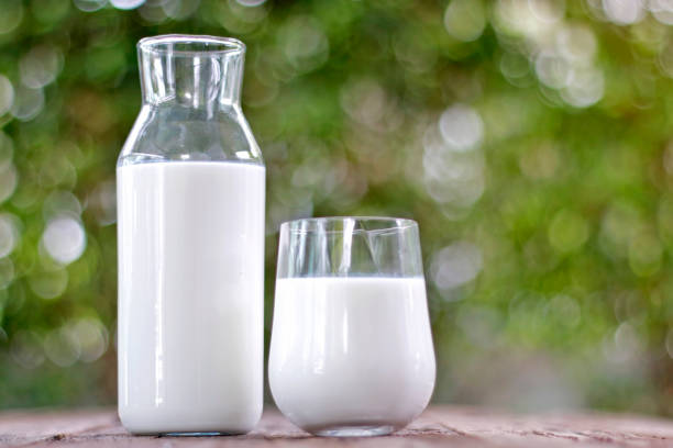 Top 7 Other Milk Suppliers in Kenya in August 2025: Navigating a Rapidly Evolving Dairy Landscape