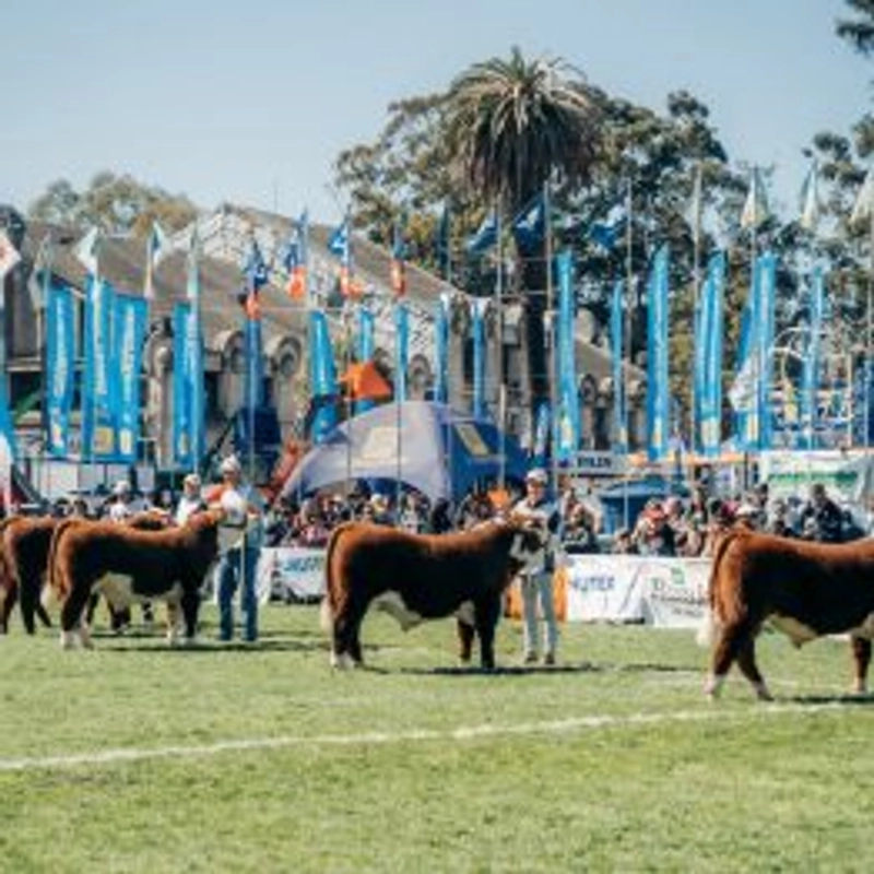 Why International Livestock Exposition and International Agro Industrial and Commercial Exhibition (Expo Matters for B2B - 1