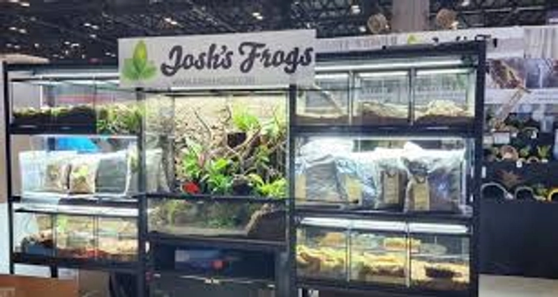 Why Michigan Reptile and Pet Expo Matters for B2B