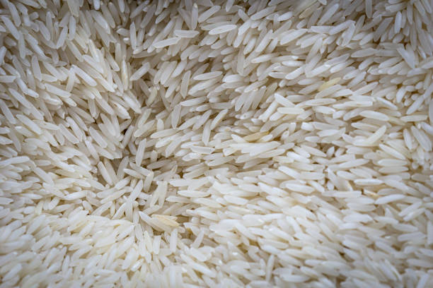 Top 10 Basmati Rice Suppliers in Global in July 2025
