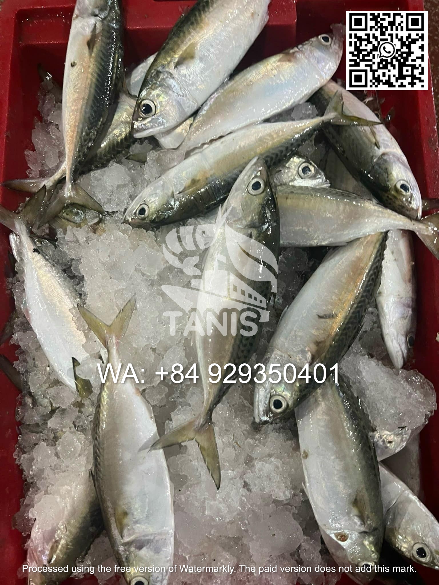 d3c5bd5ebf0340cfb031720d6636817b