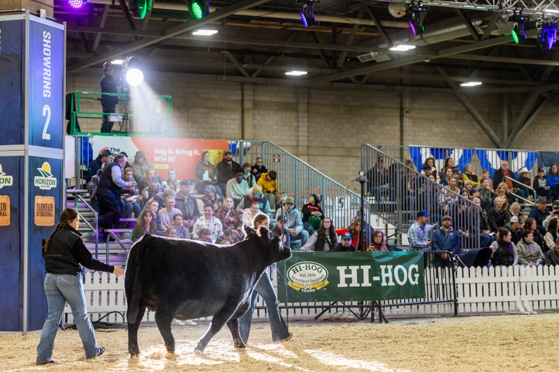 Farmfair International Revealed: B2B Opportunity - 3