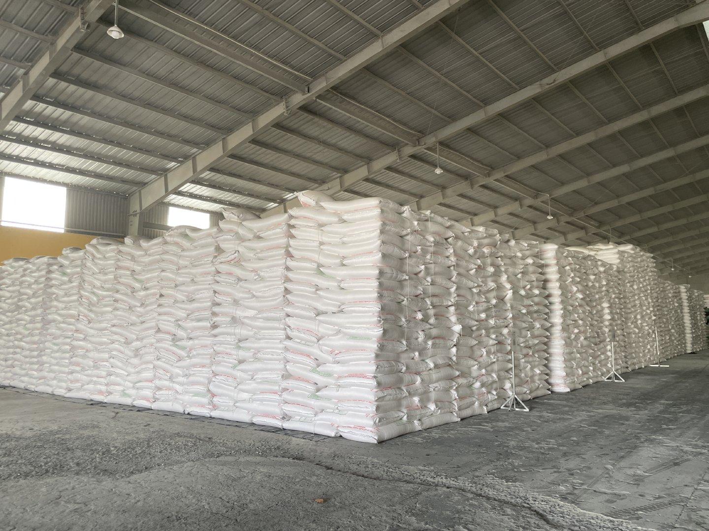Tapioca Starch Image 4