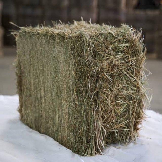Natural Feed Grade Timothy Hay Fresh Dried High Protein Bulk for Rabbits Guinea Pigs Cattle Horse & Fish 100%