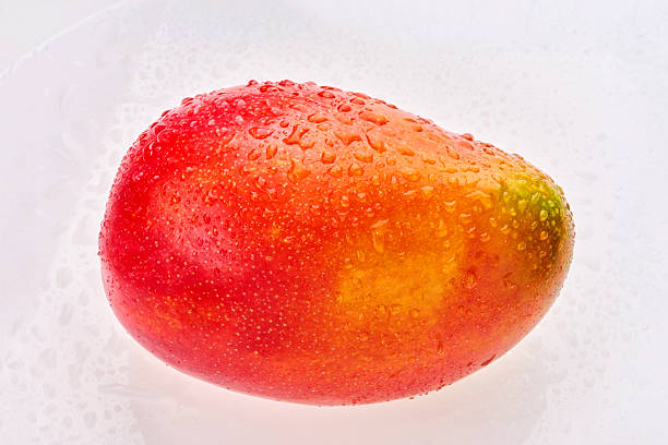 A Comprehensive Guide to Sourcing High-Quality Fresh Mango: Top 7 Fresh Mango Suppliers in Germany in Week 19 of 2025