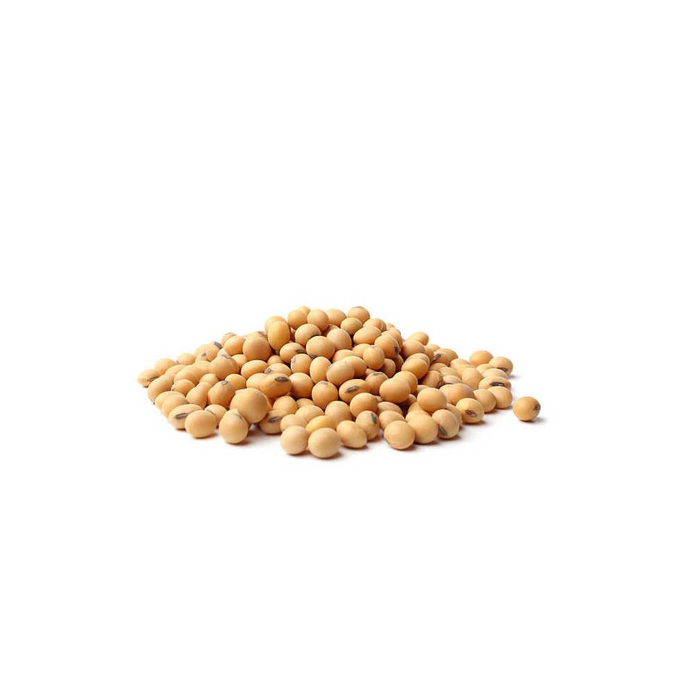 Natural Agricultural Soybean From Farms With Sorted Quality Seeds For International Importers