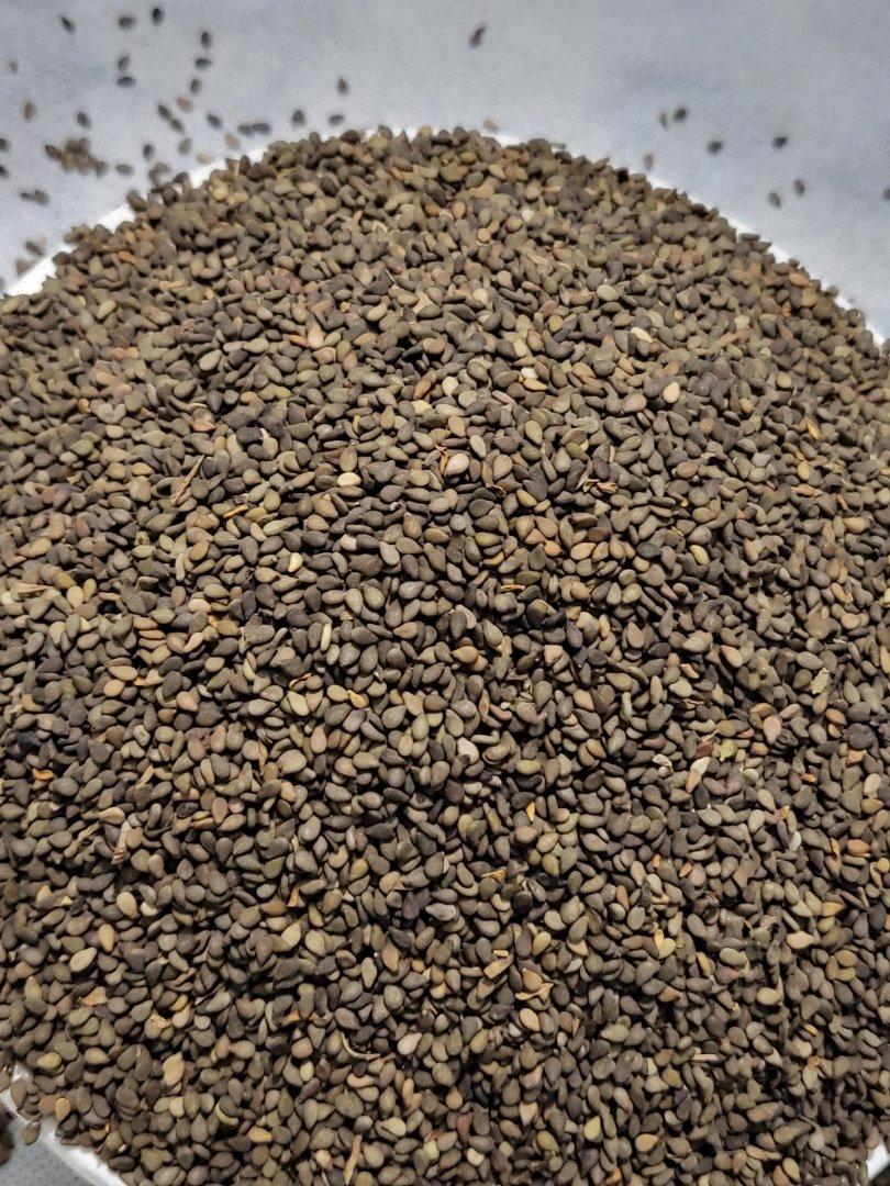 Mixed Sesame Seeds