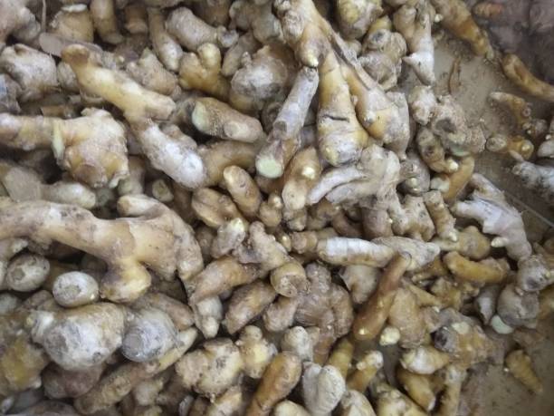 Top 9 Fresh Ginger Suppliers in United States in Year 2025