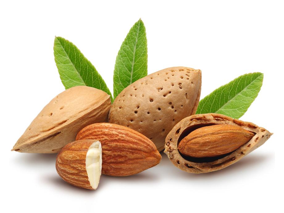 Premium Almond Products