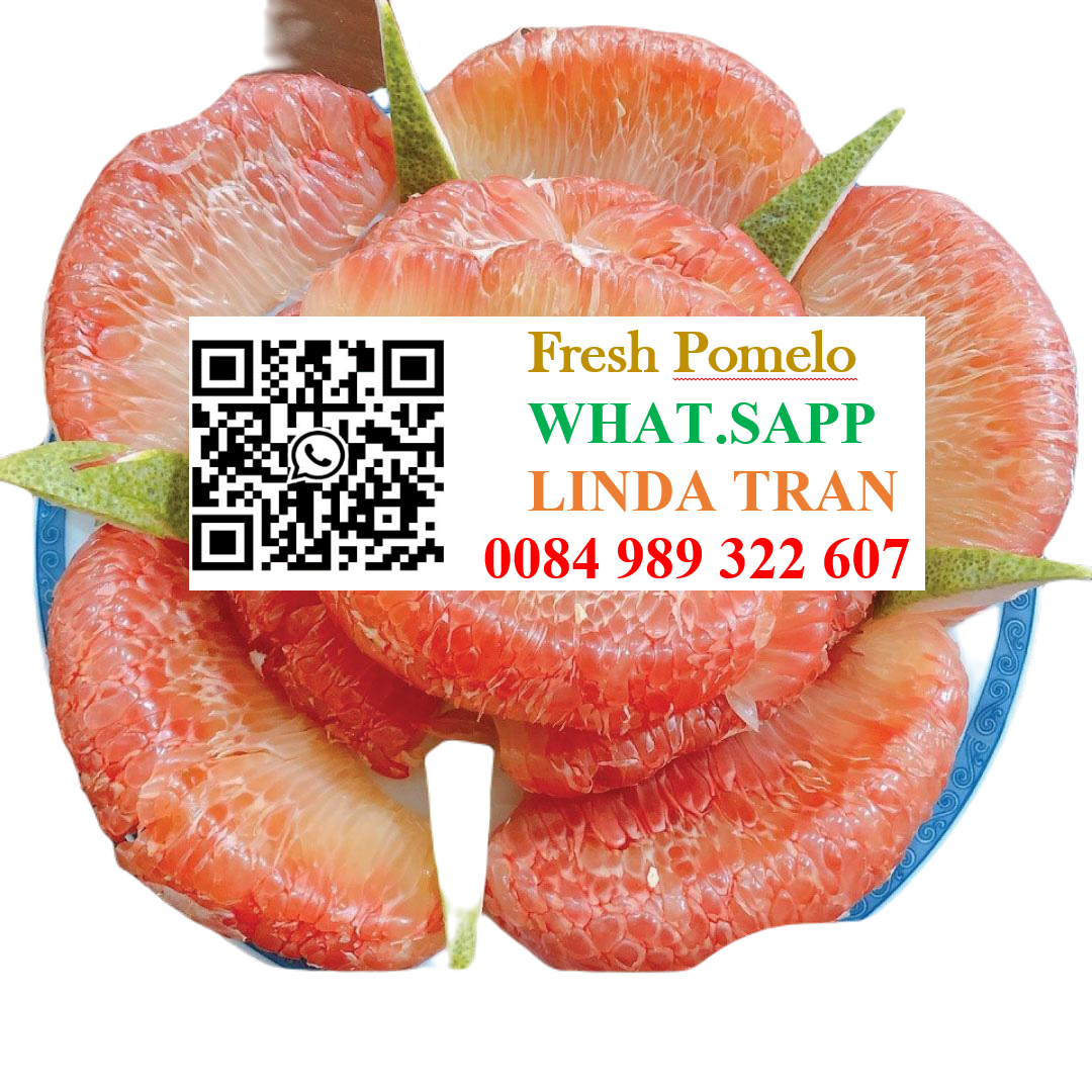 d4e118987c5d4e6583568f63d54c5bea