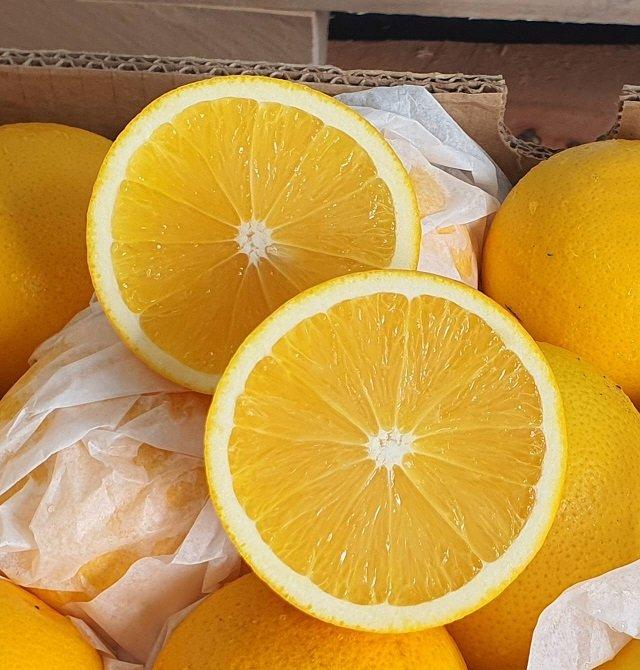 Class 1 Quality Valencia Orange Available Now Features Organic Fruit Type Orange, Valencia