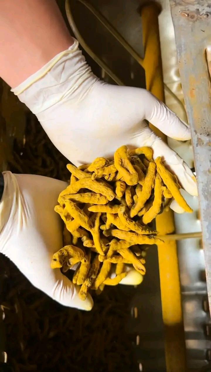 Turmeric whole