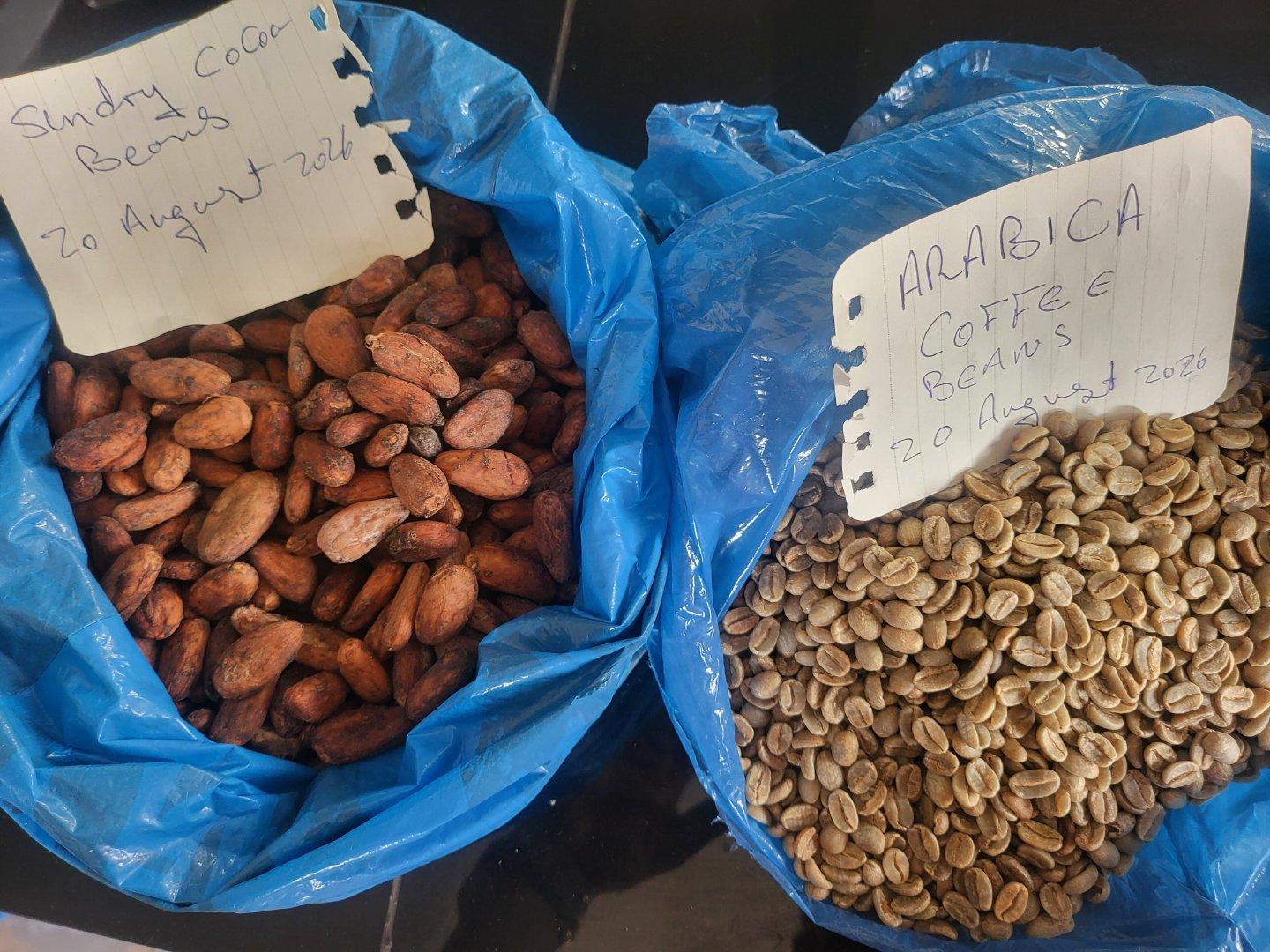 Sun Dried Cocoa Beans