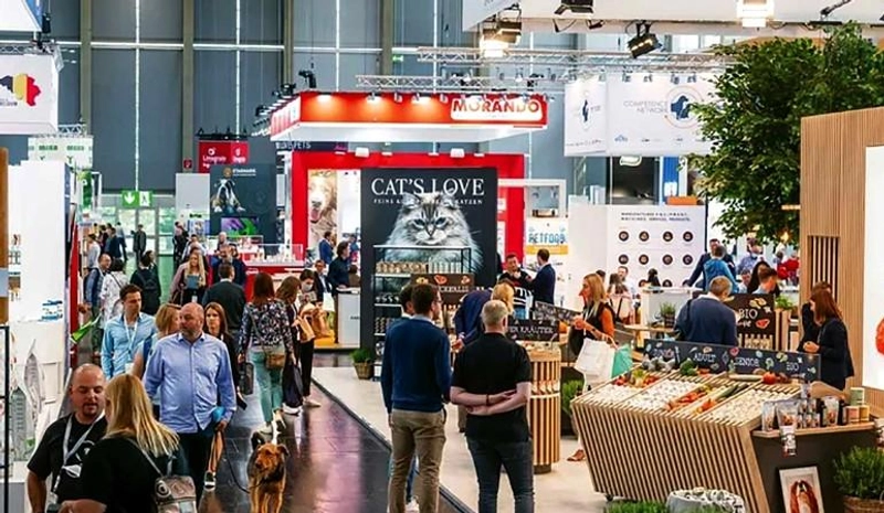 INTERZOO Spotlight: B2B Essentials - 2