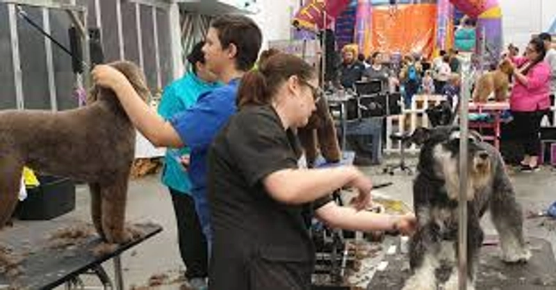 Discover ANIMAL EXPO ADELAIDE: B2B Event Guide - 3