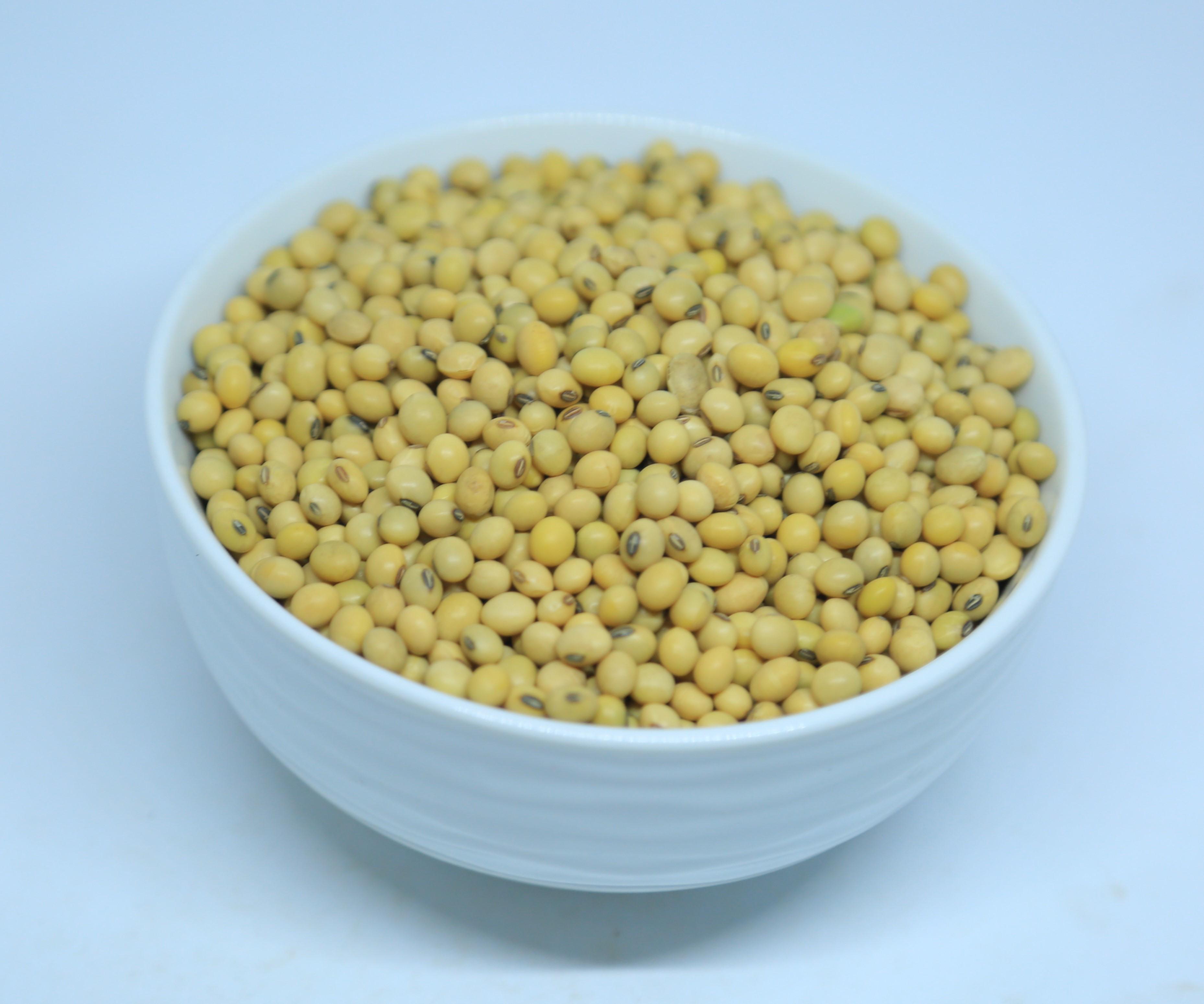 2024 Harvest Ethiopian Soya Beans - 14% Max Moisture, Grade 1 Quality, Bulk Quantity Available