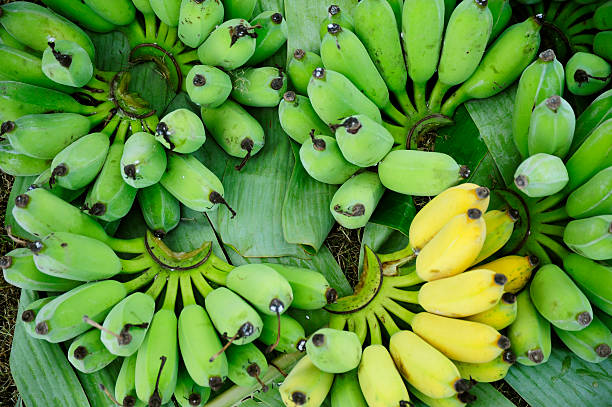 Top 4 Banana Suppliers in Austria in Year 2025: Navigating a Shifting Market Landscape