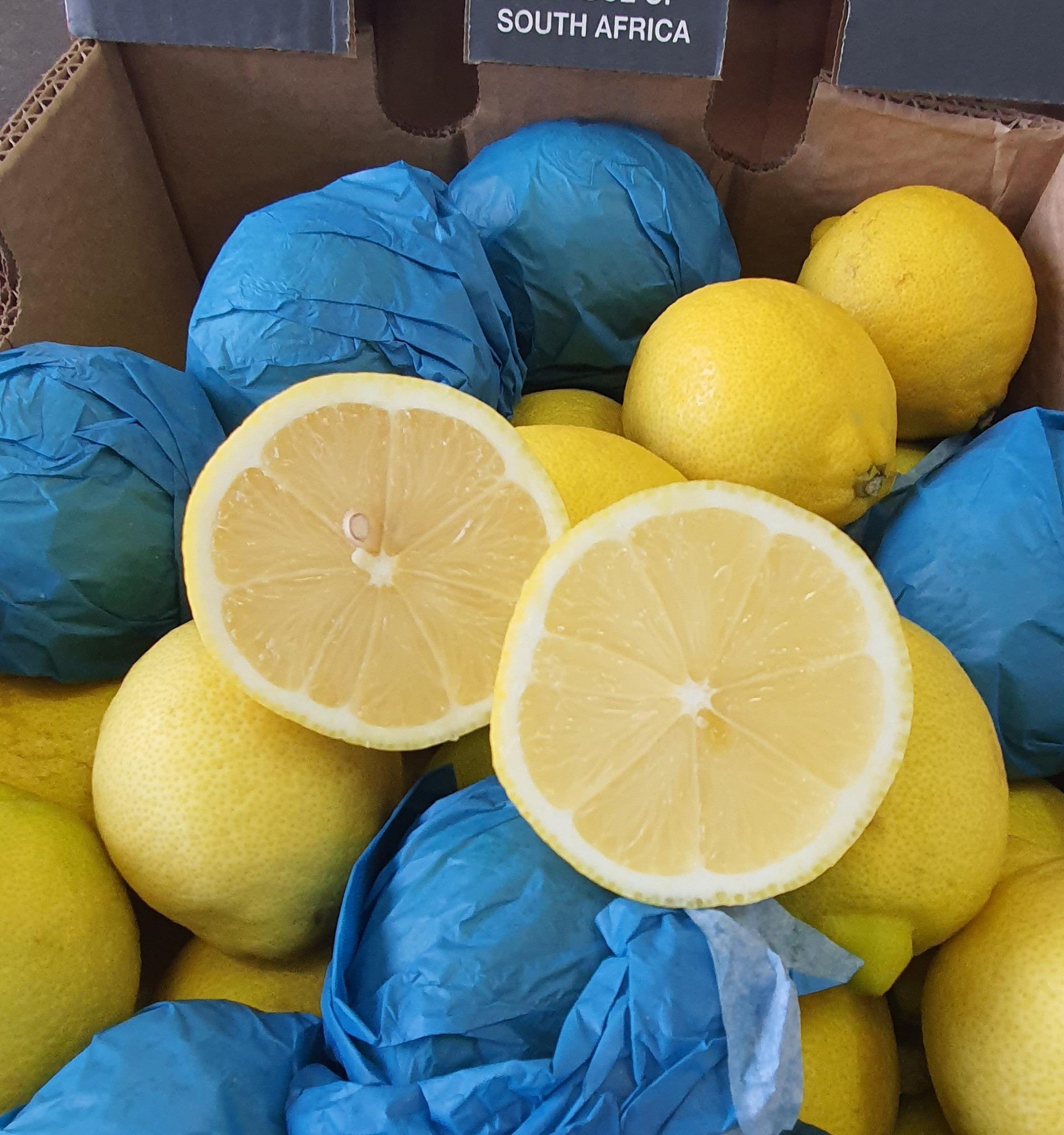 Class 1 Fresh Eureka Lemon for sale Organic Yes Origin South Africa