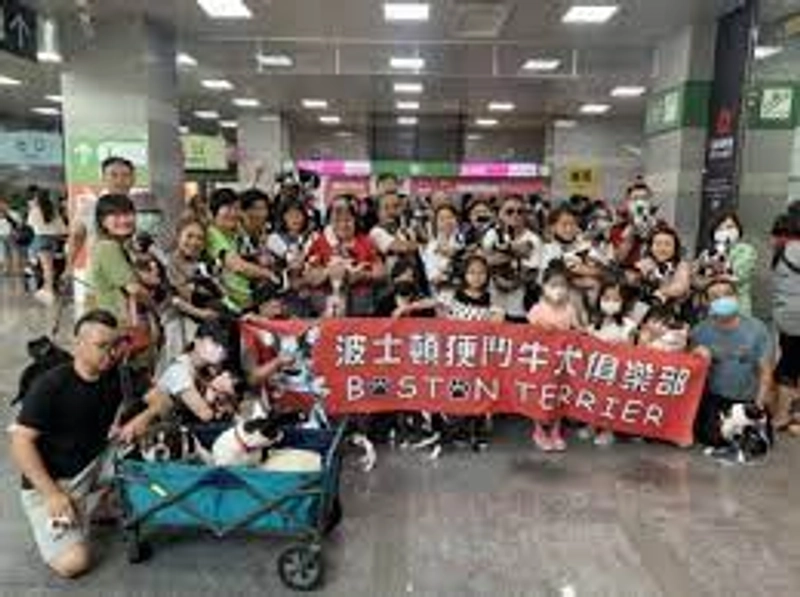 Unlock PETS SHOW TAIPEI: Must-Know B2B Event - 2