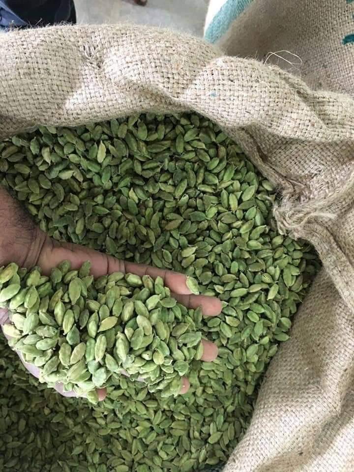 Cardamom Seeds