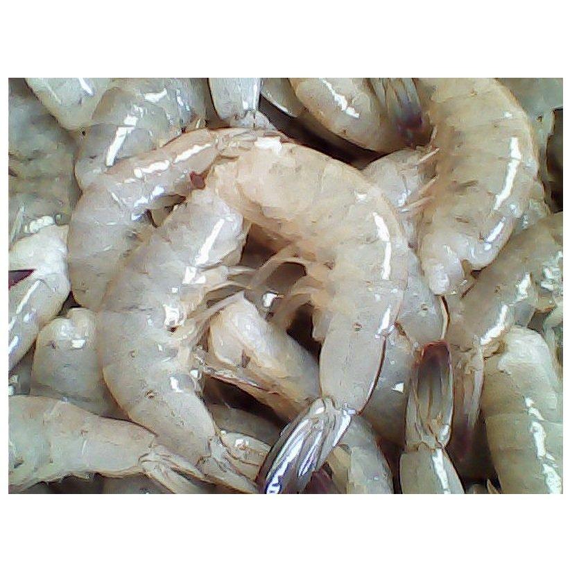 Best Price Frozen Vannamei Shrimp for Seafood Importers Features No Preservatives, Organic