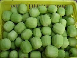 Top Sale Sweet Kiwi Fruit Peeled Frozen Kiwi IQF Export Factory Price Wholesale Egypt Kiwi Fruit Premium Grade