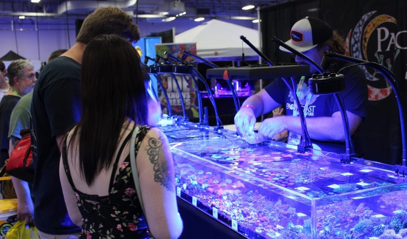 Unlock Reefapalooza New York : Must-Know B2B Event