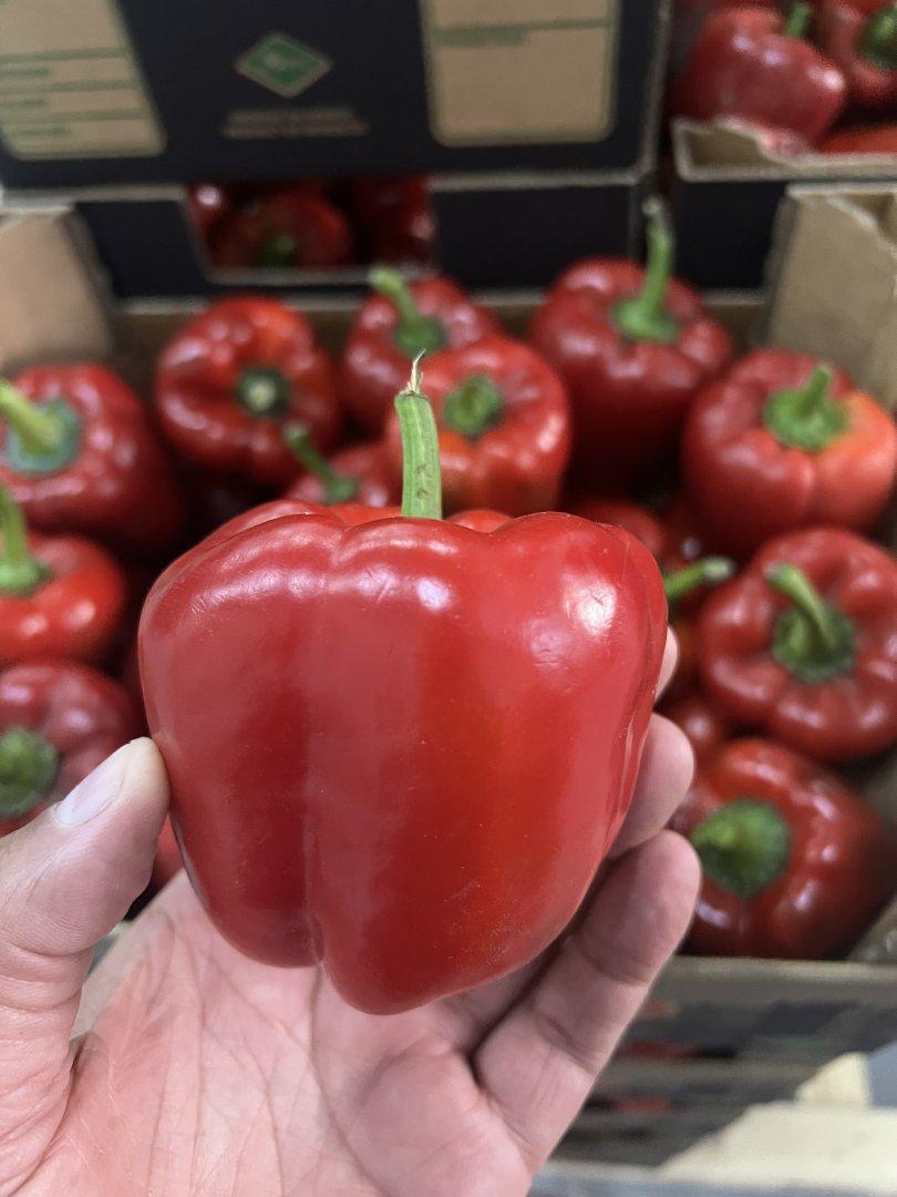California Pepper